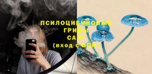 спайс Алексеевка